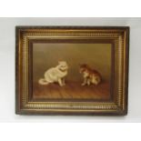 S. HOPES: Early 20th Century oil on canvas depicting white cat and brown and white kitten on