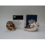 A Royal Crown Derby paperweight 'Little Owl', silver stopper with certificate, No. 654/1000,