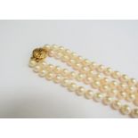A double strand pearl necklace, 43cm long with 14k gold clasp