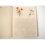 Anne Pratt: 'Wild Flowers'. A bound volume of 96 numbered sheets - complete - individually issued,