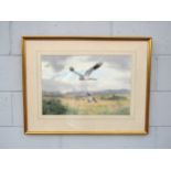 JOHN CYRIL HARRISON (1898-1985) (ARR) A framed and glazed watercolour of Hen Harrier flushing a