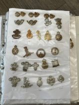 A folder of mainly military collar badges