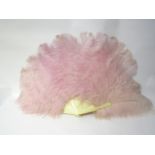 An early 20th Century ostrich feather fan in pale pink in original retail box "Sieradzki's Regent