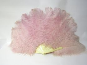 An early 20th Century ostrich feather fan in pale pink in original retail box "Sieradzki's Regent