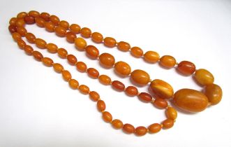 A golden butterscotch amber bead necklace, 3.5cm x 2.3cm largest bead, 1cm x 0.8cm smallest bead,