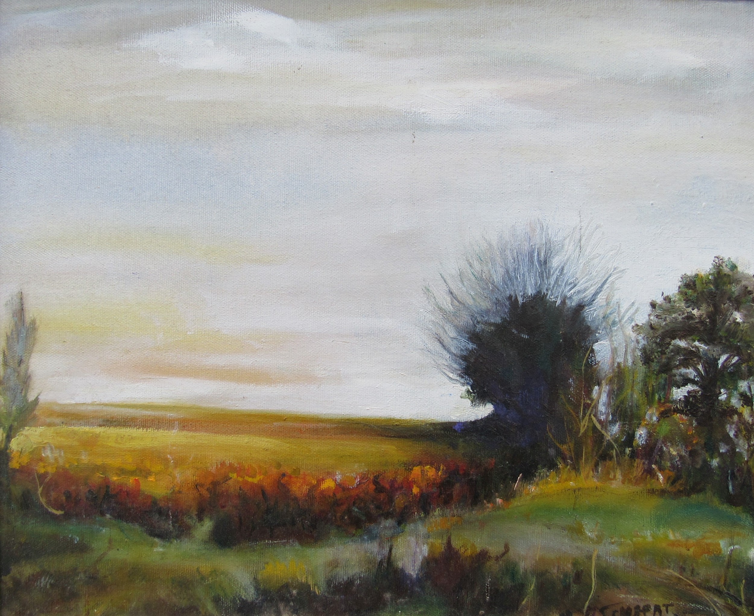 Framed original oil on canvas of a landscape, indistinctly signed 'M Schapat' lower right. Image - Image 2 of 4
