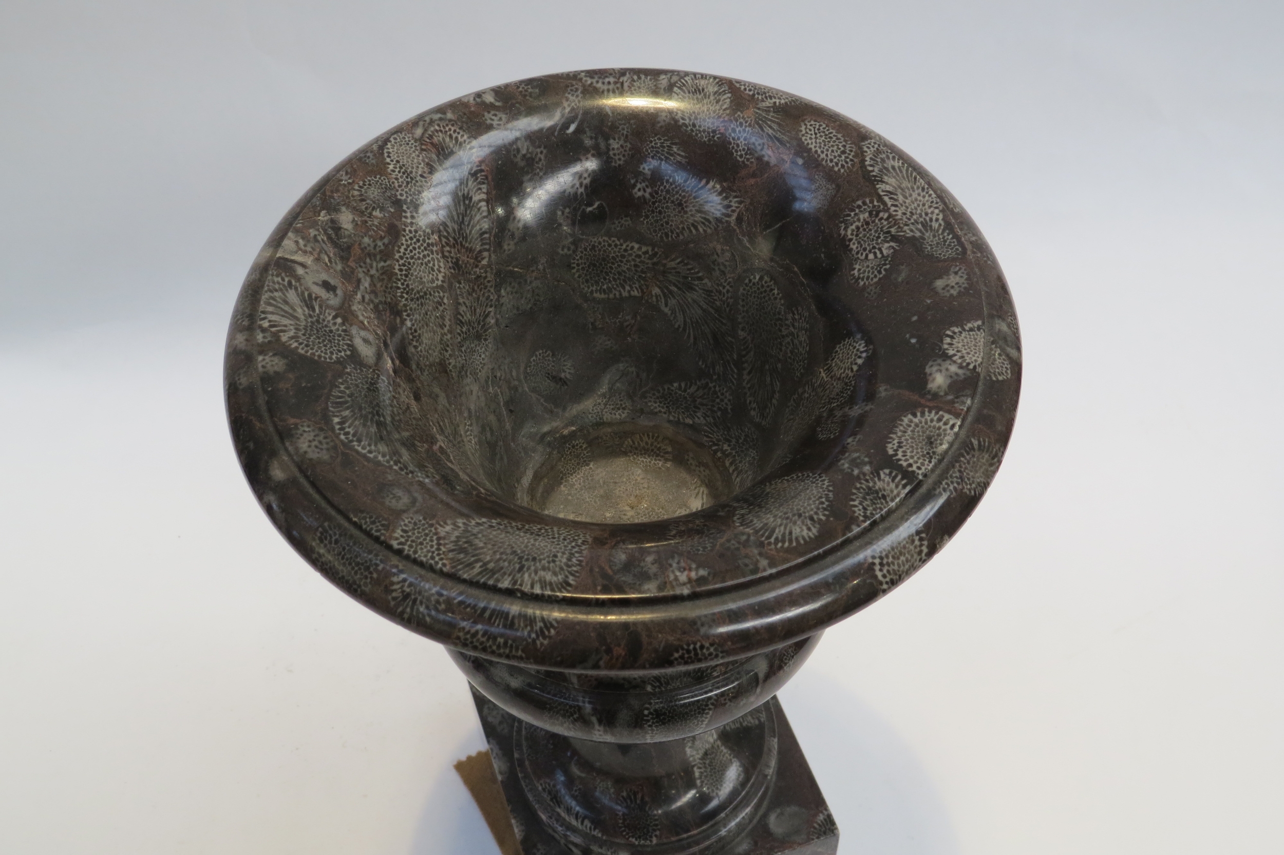 An Exquisite 19th Century coral fossil marble Campania urn, possibly Frosterly marble, 26cm tall, - Image 2 of 5