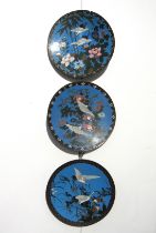 Three Chinese cloisonné chargers depicting cranes, 30cm diameter
