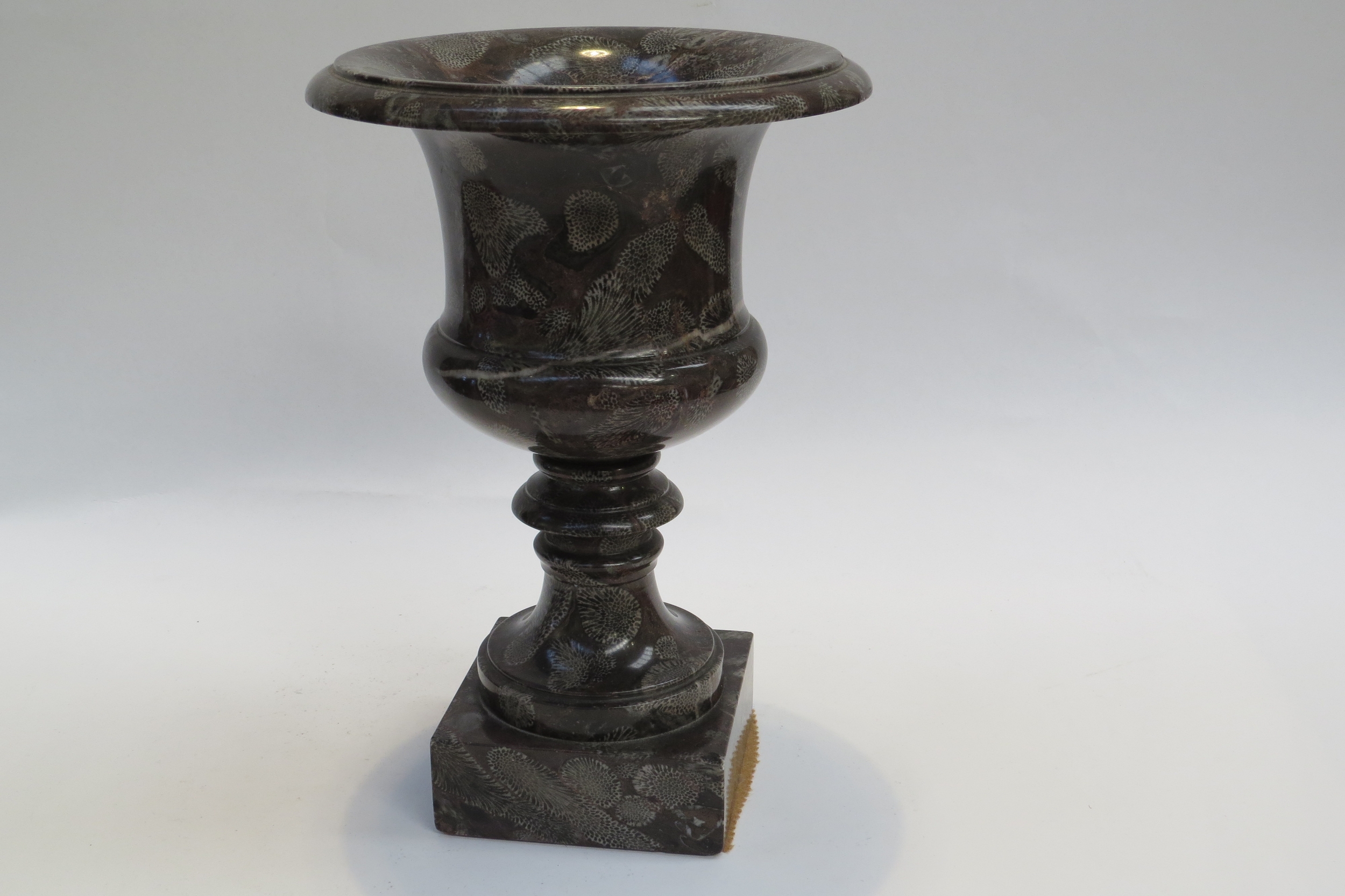 An Exquisite 19th Century coral fossil marble Campania urn, possibly Frosterly marble, 26cm tall, - Image 5 of 5