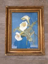 N.V. ALLEN (XIX-XX): An oil on board lilies, blue background, dated 1904, 39cm x 28cm, gilt framed