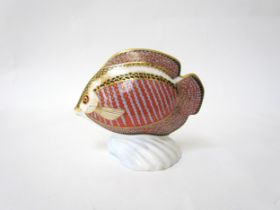 A Royal Crown Derby paperweight as a tropical fish, gold stopper