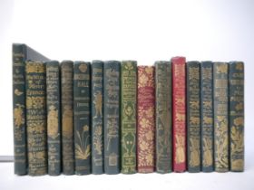 A collection of fifteen late 19th/early 20th Century pictorial cloth gilt titles, mainly illustrated