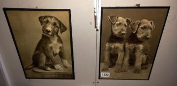 2 vintage framed prints of Terrier dogs