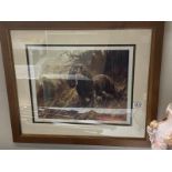 A framed & glazed picture of a Spaniel dog