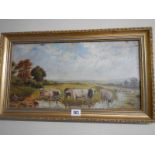 An early 20th century oil on board painting featuring cattle, 65 x 38 cm.