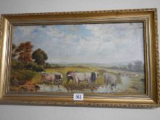 An early 20th century oil on board painting featuring cattle, 65 x 38 cm.