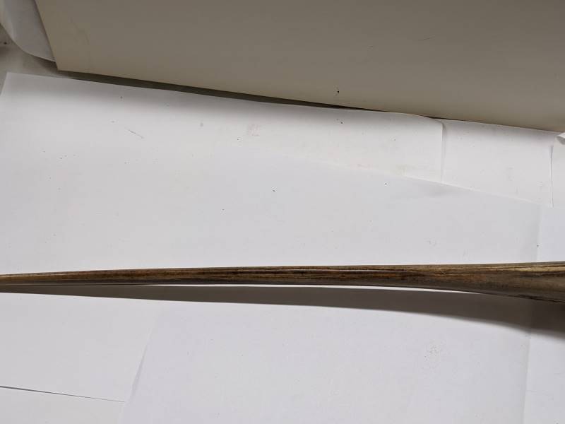 An early 20th century sword made from a swordfish bill with bone and horn hilt, bill 39cm long, - Image 4 of 4