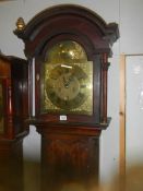 A good eight day long case clock with brass arched dial