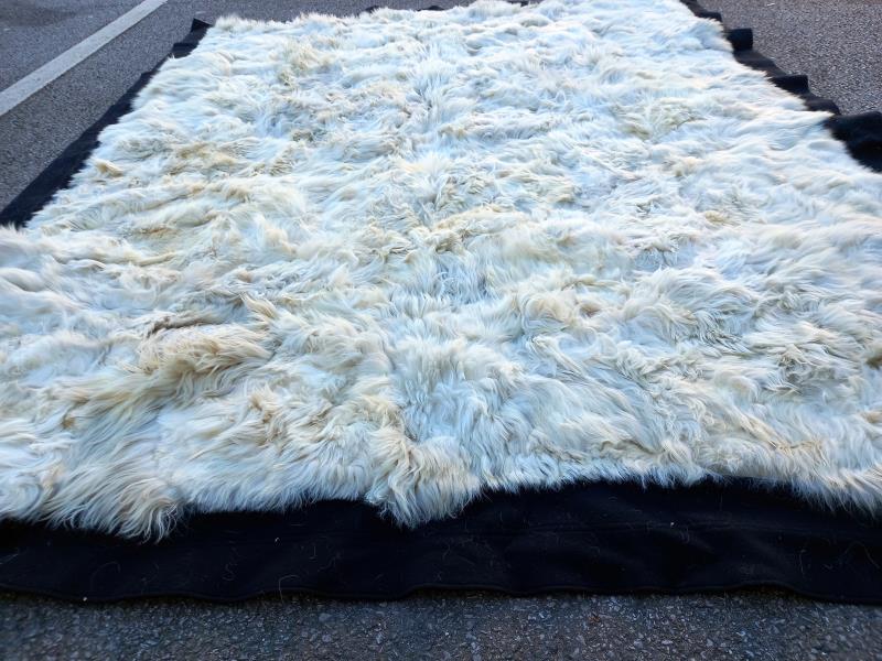 A pre 1925 polar bear fur skin rug by Wm Creamer & Co., Furriers, by appointment to Queen Alexandra - Image 2 of 9