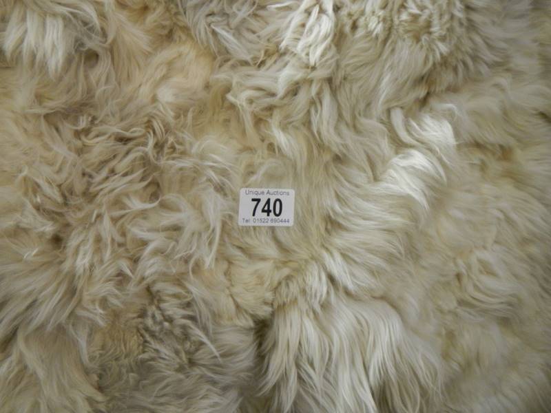 A pre 1925 polar bear fur skin rug by Wm Creamer & Co., Furriers, by appointment to Queen Alexandra - Image 7 of 9