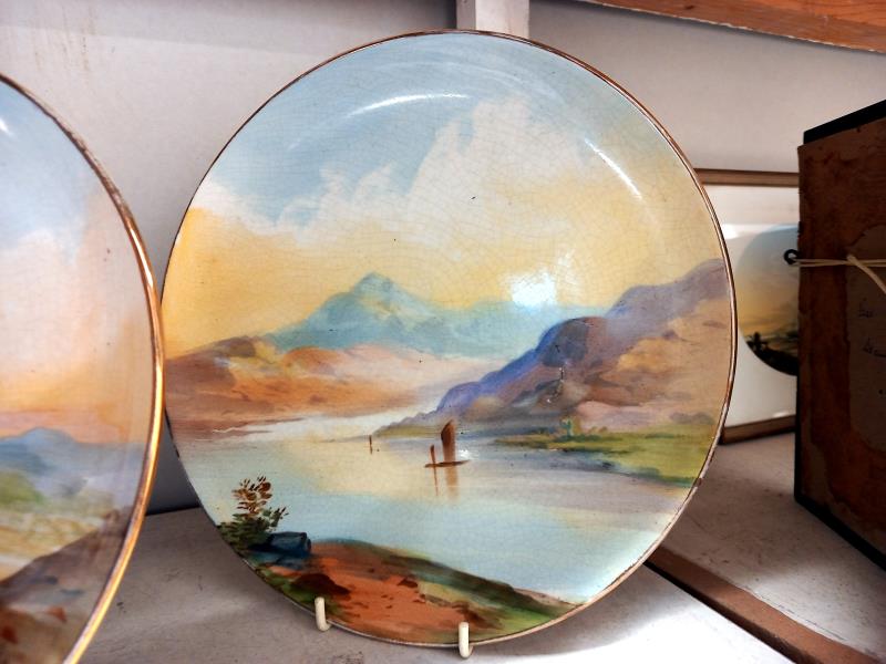 A pair of 19th century painted plates - Image 3 of 3