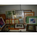 A large lot of framed pictures (approximately 18). COLLECT ONLY.