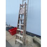 A long aluminium ladder and vintage wooden ladder