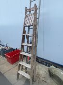 A long aluminium ladder and vintage wooden ladder