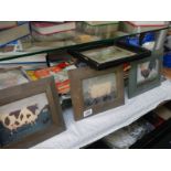 A quantity of pictures including farmyard animals.