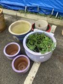 6 ceramic garden pots of various sizes