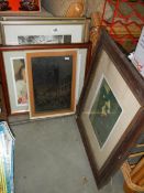 A quantity of framed and glazed prints, COLLECT ONLY.