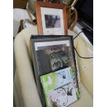 A good lot of framed and glazed prints. COLLECT ONLY.
