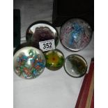 A collection of paperweights.