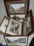 A tray of framed and glazed prints, COLLECT ONLY.