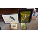A framed painting of a woodpecker and another bird picture.
