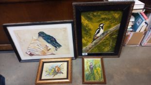 A framed painting of a woodpecker and another bird picture.