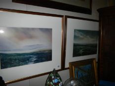 A framed and glazed pair of watercolours.