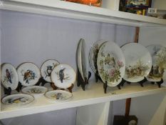 Six Kaiser (Germany) bird plates and seven Kaiser miniature bird plates.