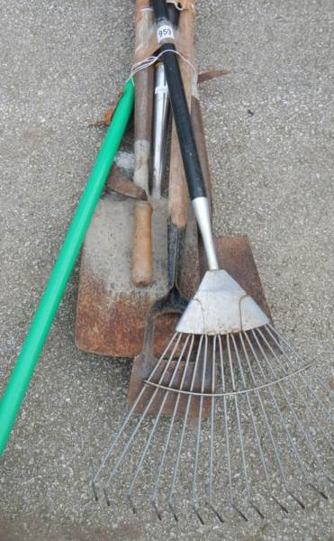 A good lot of garden tools. COLLECT ONLY. - Image 2 of 2