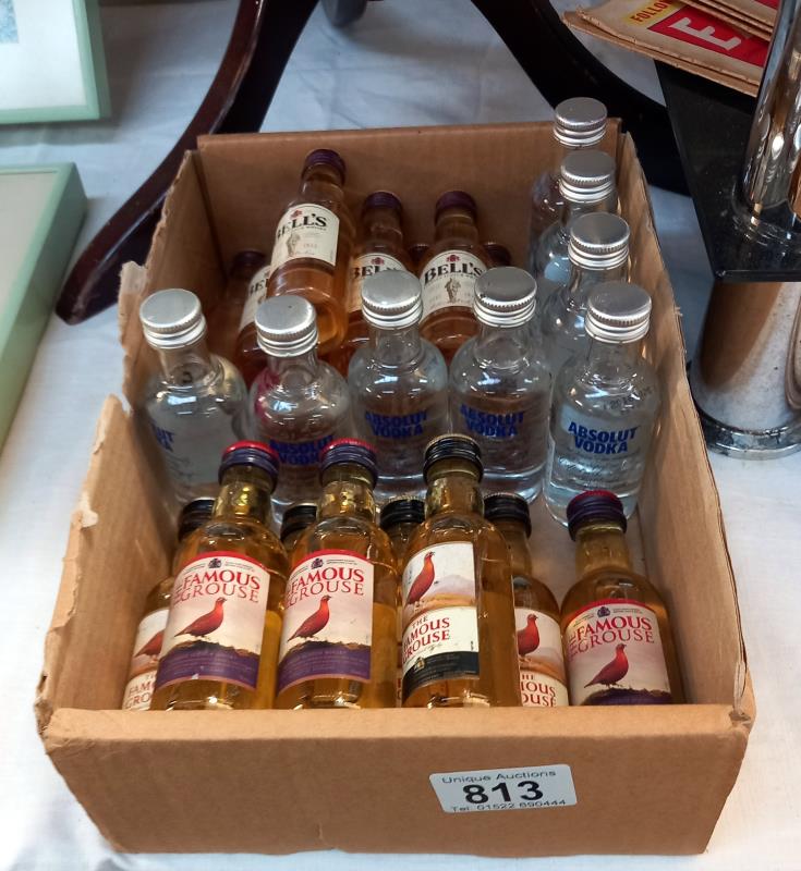 16 miniature bottles of whiskey and 8 of vodka