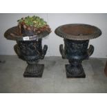 A pair of cast iron garden urns. COLLECT ONLY.