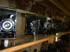 Six vintage folding camera's.