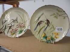 A pair of superb quality hand painted plated featuring birds.