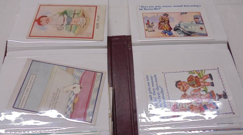 Two albums of postcards - one humorous including Donald McGill, the other mixed inc. topographical. - Image 10 of 23