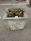 A square garden pot, COLLECT ONLY.