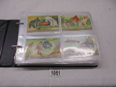 An album of cigarette cards, Liebig cards etc.,