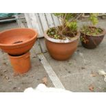 Three garden pots, COLLECT ONLY.