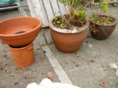 Three garden pots, COLLECT ONLY.