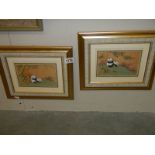 A pair of framed and glazed watercolours featuring panda's.