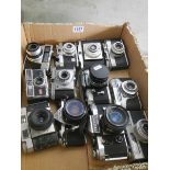 Twelve SLR and Auto vintage camera's.
